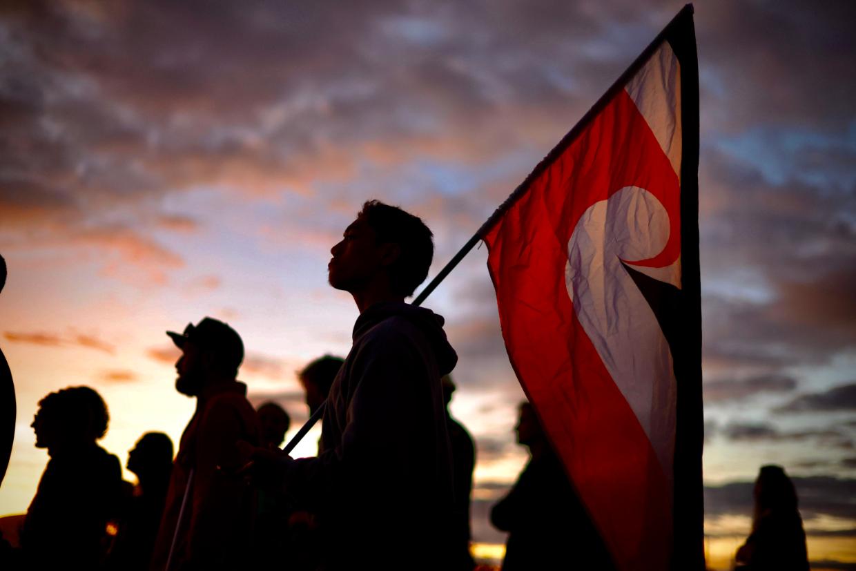 Waitangi Tribunal says Treaty reform proposals breach Treaty principles - Stuff