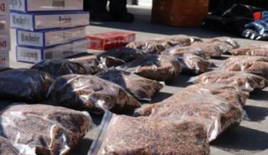 Five arrested, 1.3 million illegal cigarettes seized, in major illegal tobacco crackdown - Stuff