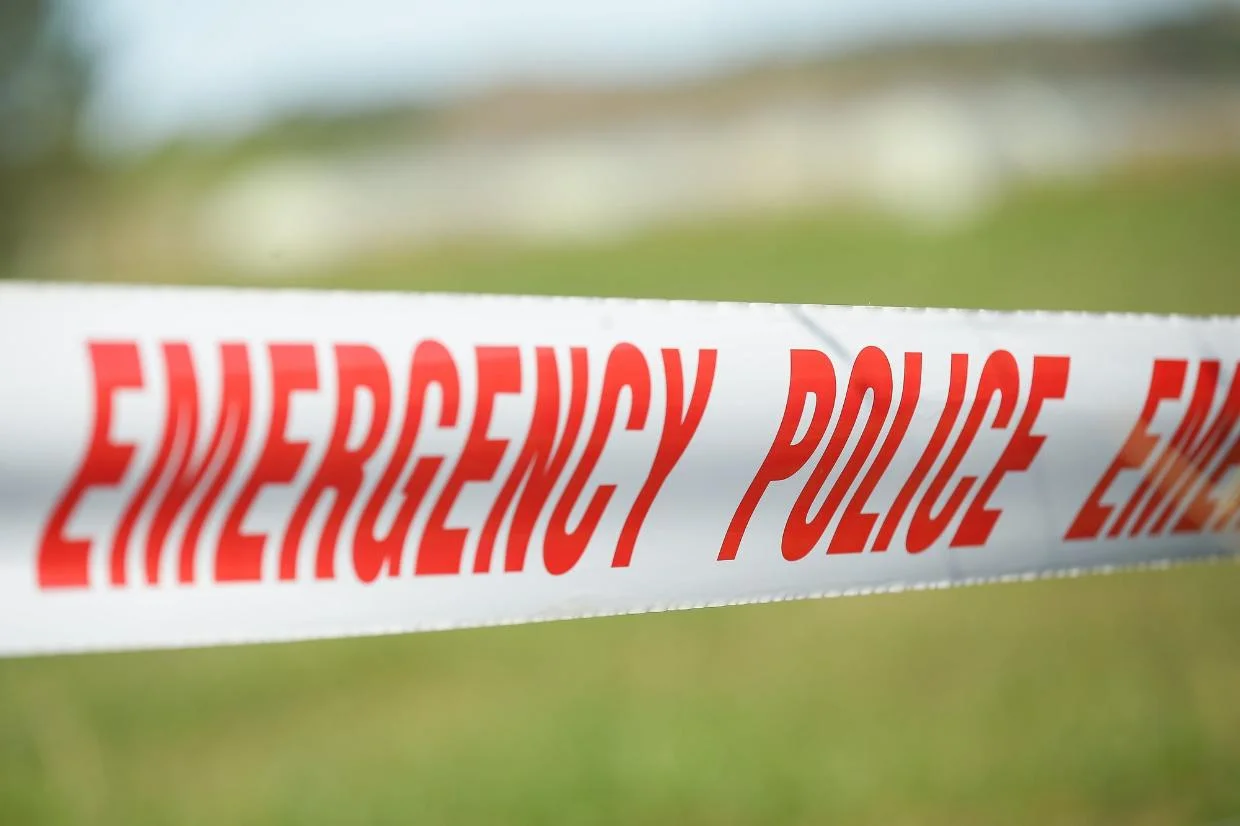 Two teens arrested after violent Three Kings bar robbery - Stuff