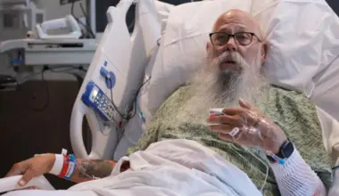 Man tossed by Yellowstone bison says hitting the ground was the worst part - Stuff
