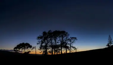 Clear skies forecast for much of New Zealand this Matariki weekend - Stuff