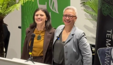 Greens reveal campaign slogan, priorities, and call for end to ‘bloodsport politics’ - Stuff