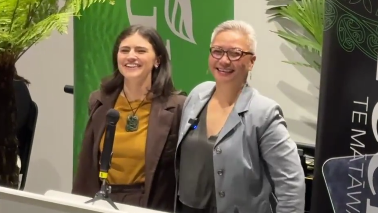 Greens reveal campaign slogan, priorities, and call for end to ‘bloodsport politics’ - Stuff