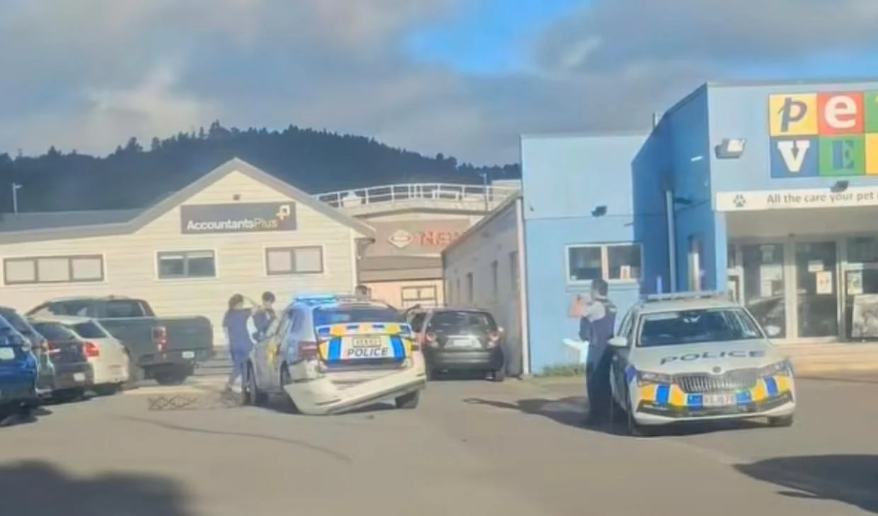 Driver allegedly runs over officer’s feet, rams police car - Stuff