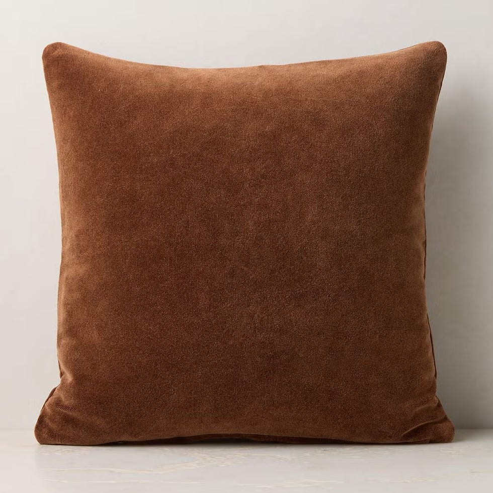 Encino Velvet Throw Pillow
