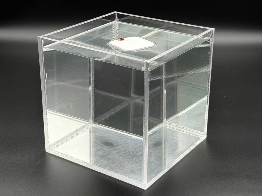 Scientists Create a 'Breathable' Hydrogel Inspired by Human Lungs