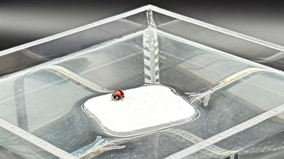 Scientists Create a 'Breathable' Hydrogel Inspired by Human Lungs : ScienceAlert