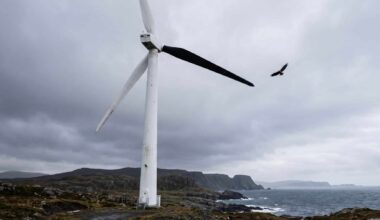 A wind turbine with one black blade against the sky
