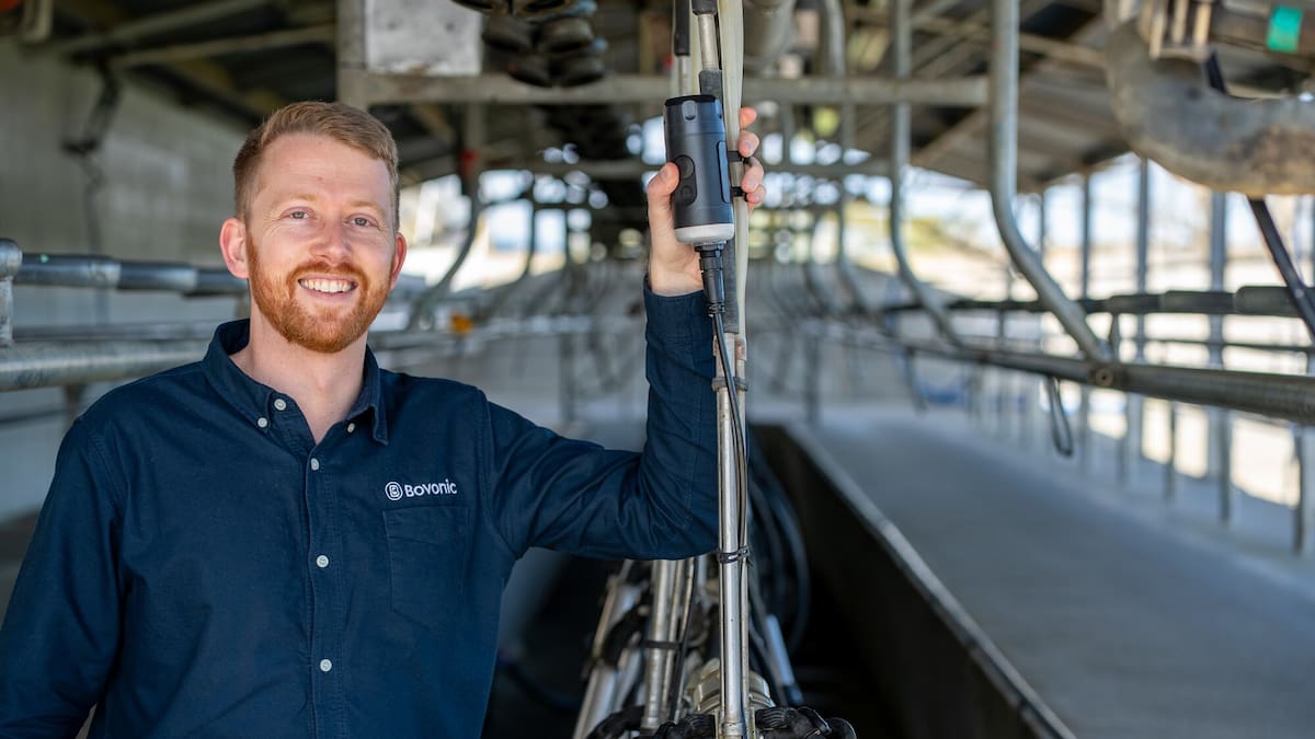 Bay of Plenty agritech firms Bovonic, Helical shine at innovation awards - On The Up