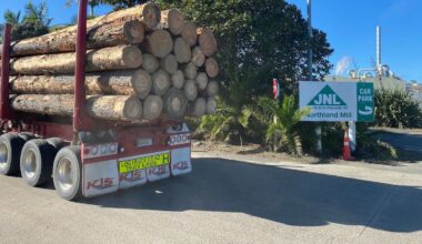 Juken NZ confirms Northland mill shutdown after failed sale search