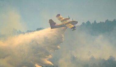 Europe ablaze: London at risk, forest burns near Paris and Spain counts wildfire cost