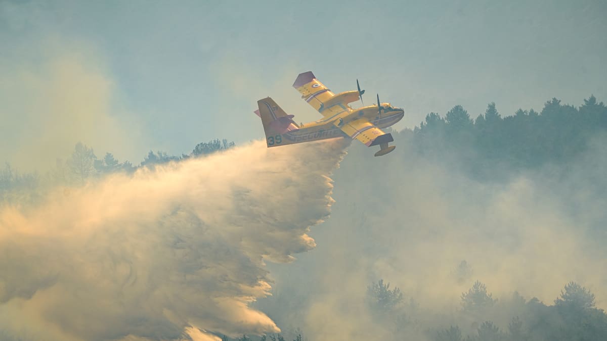 Europe ablaze: London at risk, forest burns near Paris and Spain counts wildfire cost