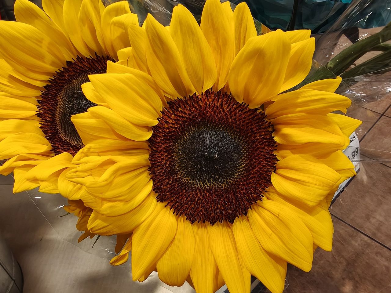 TCL NXTPAPER 70 Pro camera sample.