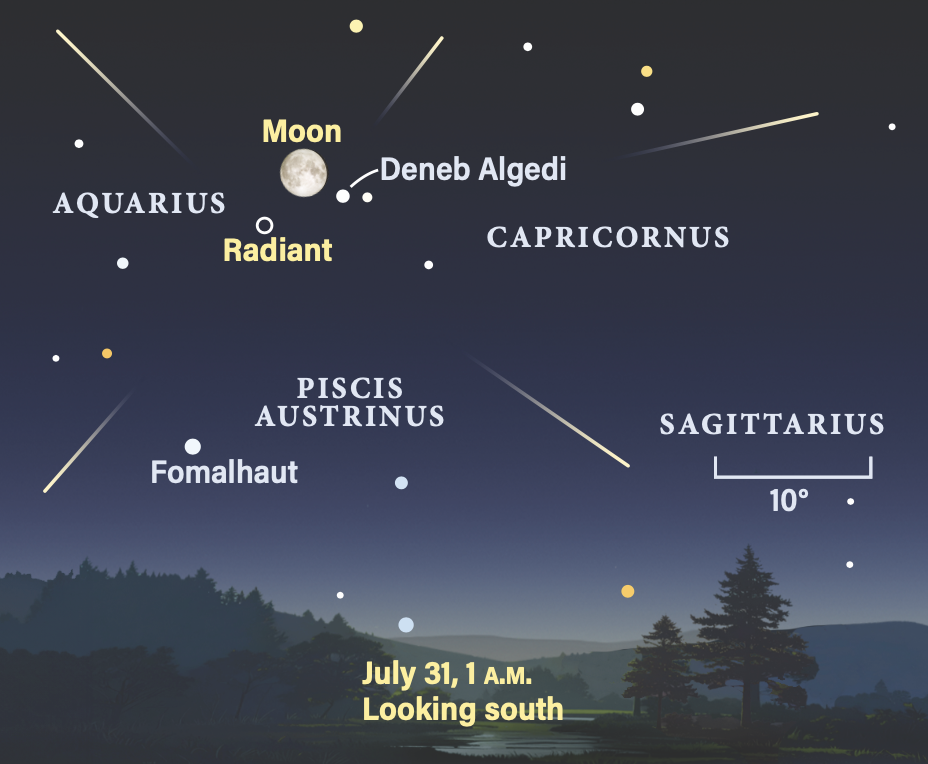 Map showing the radiant of the Southern Delta Aquariid meteor shower on July 31, 2026, 1 AM, looking south