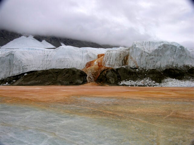 The Mystery Path of Antarctica's Blood Falls Has Finally Been Revealed