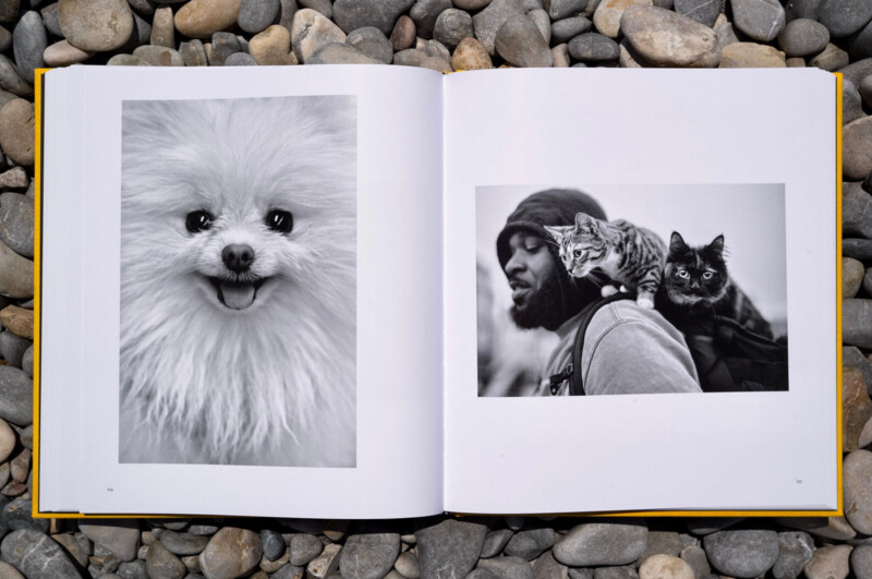 An open book on pebbles shows a fluffy white dog on the left page and a man with a cat and a kitten on his shoulders on the right page. Both images are in black and white.