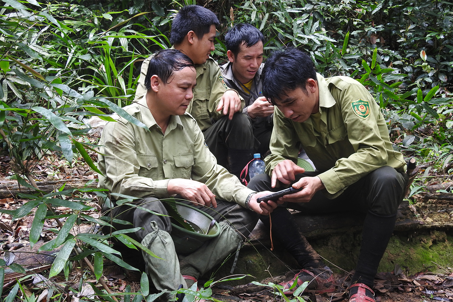 Tech helps Vietnam rangers turn the tide on poaching
