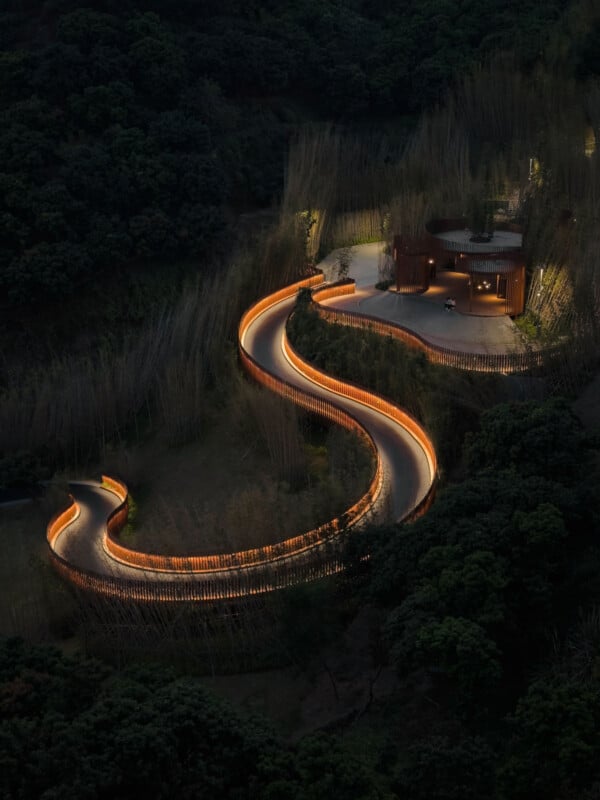 A winding, illuminated road curves through dense greenery at night, leading to a modern building surrounded by trees. Warm lights trace the road’s edges, creating an S-shaped pattern amidst the dark landscape.