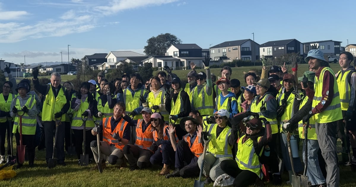 Restoring the Mauri: Breathing life back into the Papakura Stream this Matariki – Te Ao Māori News