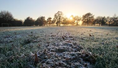 Deep Freeze: Bitter frosts sweep NZ, one town forecast to plunge to -9C - NZ Herald