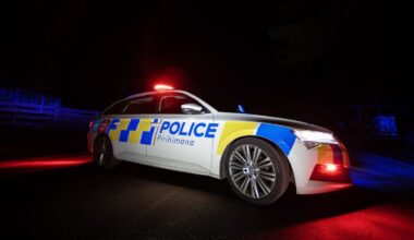 Night of alleged car thefts ends with spiked tyres in Far North