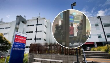 Waikato Hospital death: Nurses’ union demands independent inquiry