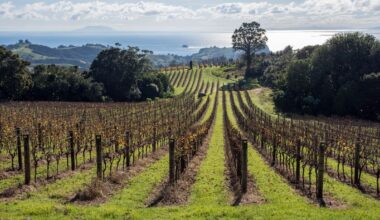 Weekend wine guide: Vintners’ bad luck is spreading through our top wine regions