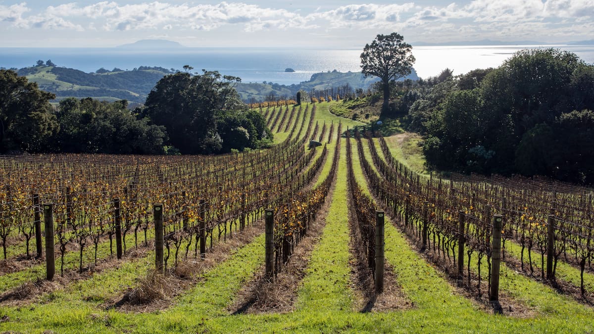 Weekend wine guide: Vintners’ bad luck is spreading through our top wine regions