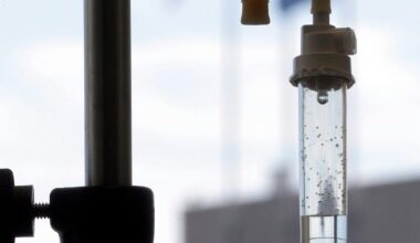 New pancreatic cancer treatment hailed as breakthrough, but Canadians don’t have access to it. Here’s why. - CTV News