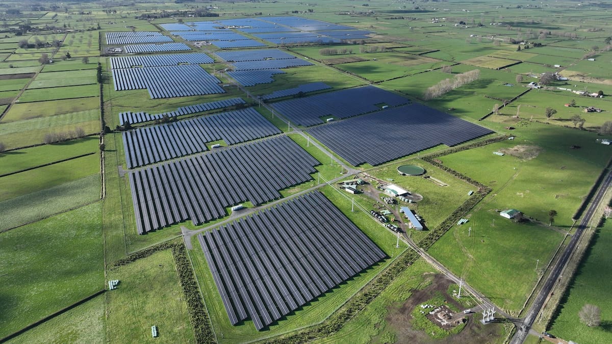 New Zealand’s biggest solar farm connects to national grid near Te Aroha