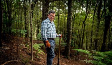 'This is just insane': Landowner slams $290m Ōrewa development approval - NZ Herald