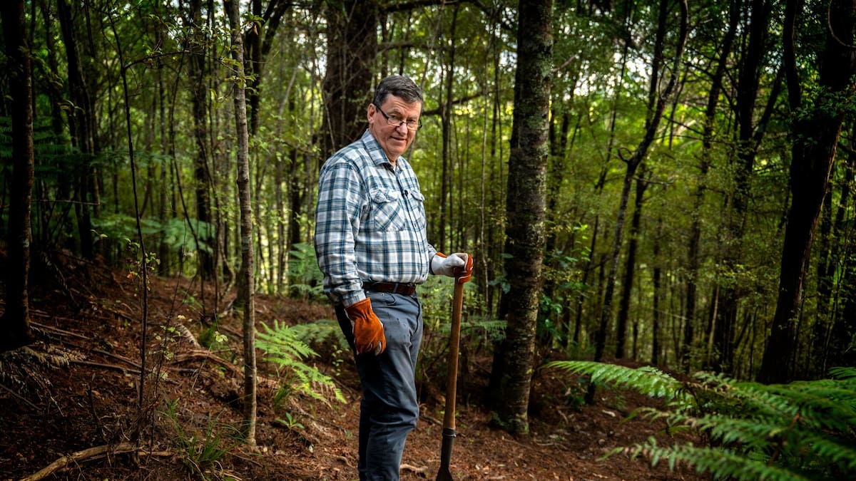 'This is just insane': Landowner slams $290m Ōrewa development approval - NZ Herald