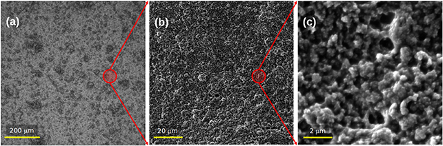 Vantablack 310 structure