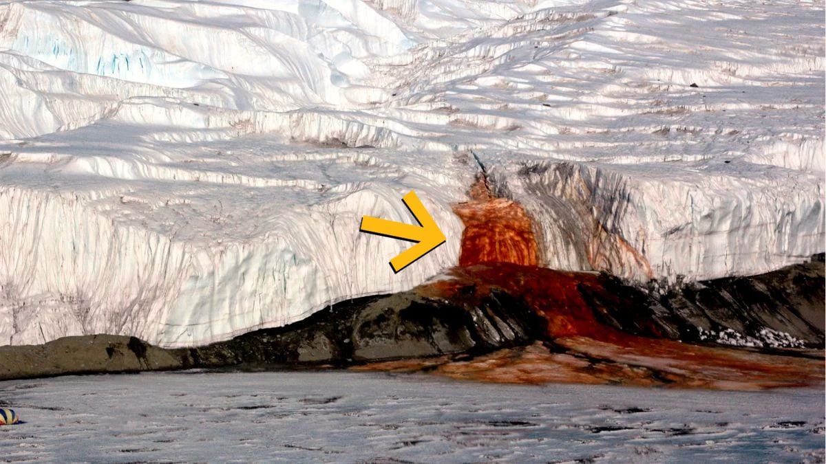 Antarctica's Blood Falls Hides a Hidden World That's Never Seen The Sun : ScienceAlert