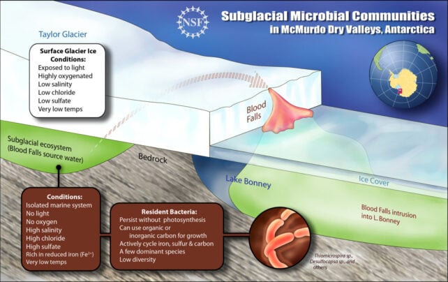 The Mystery Path of Antarctica's Blood Falls Has Finally Been Revealed