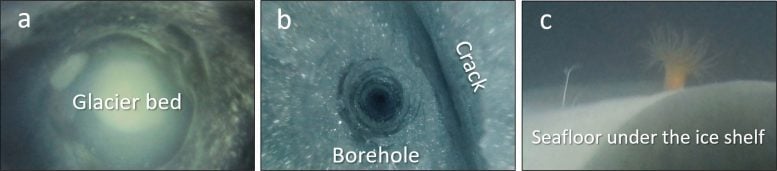 Borehole Camera Views Beneath Antarctic Ice
