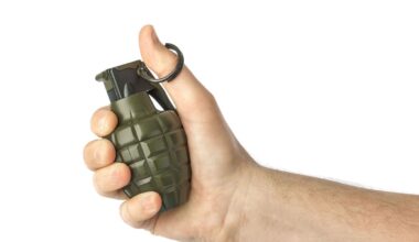 Grenade alert at Whangārei port revealed to be harmless toy, NZDF says