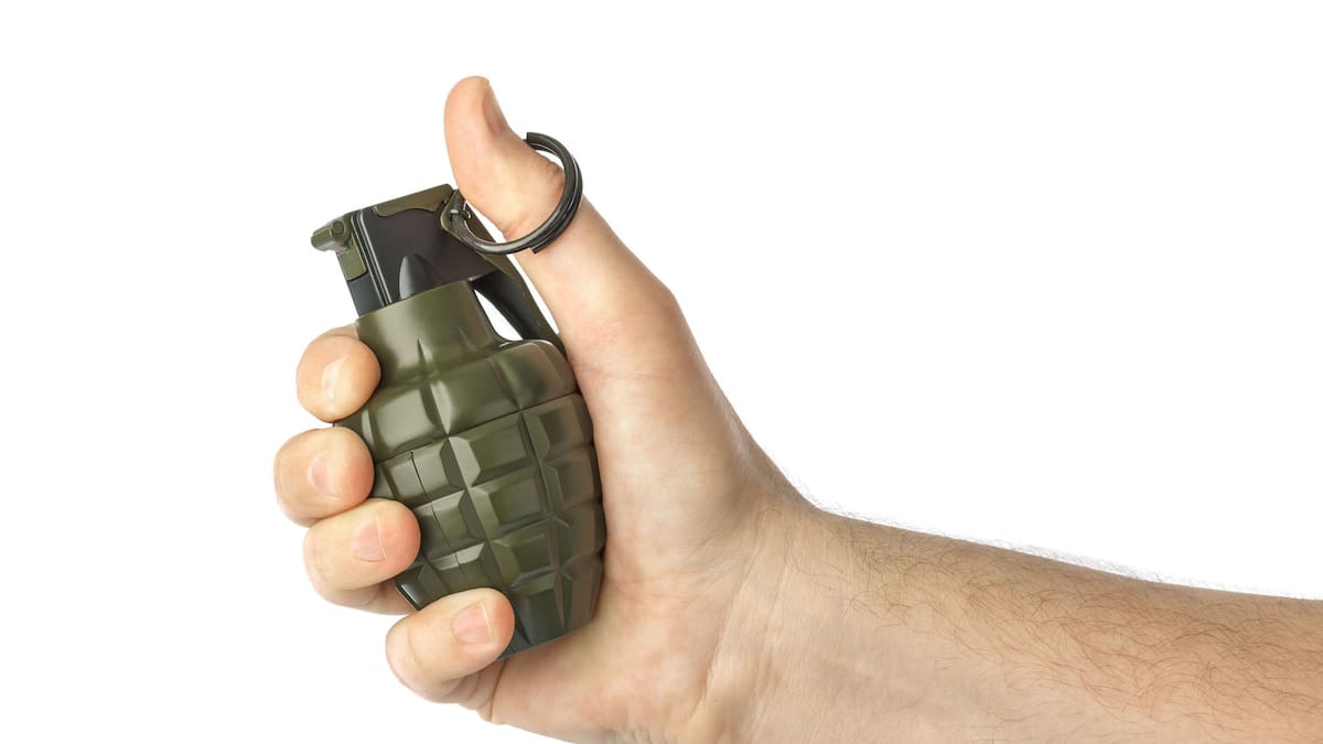 Grenade alert at Whangārei port revealed to be harmless toy, NZDF says
