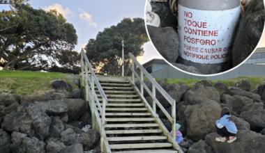 Ordnance discovered by Whangārei 12-year-old safely detonated at Ōrewa Beach
