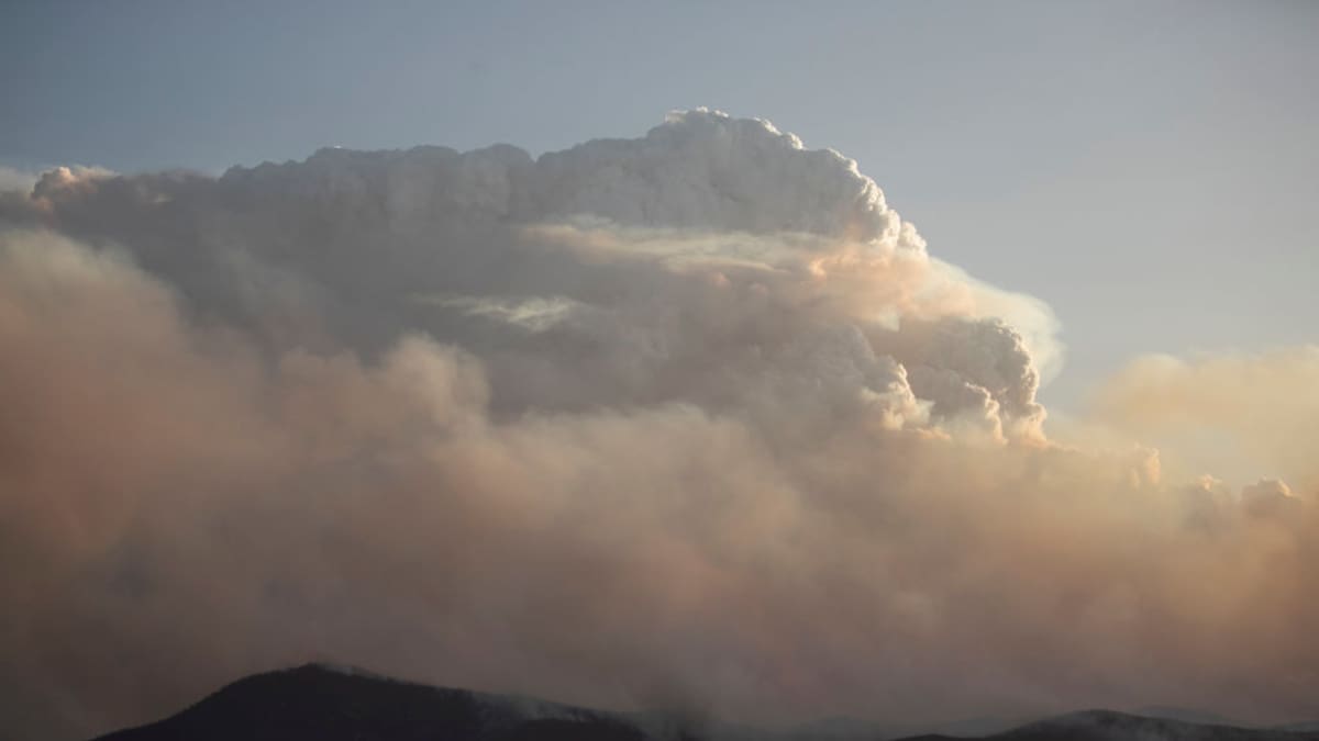 Fire clouds: The ominous new threat looming over wildfires in Europe - NZ Herald