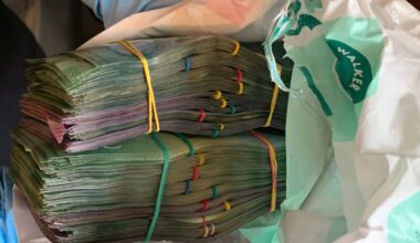 5 properties, cash and vehicles seized from Wairoa meth couple