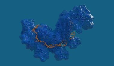 Scientists Are Designing CRISPR Gene Editors With AI