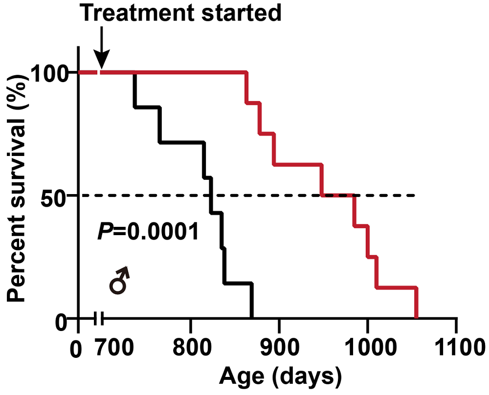 Calcium Treatment Survival
