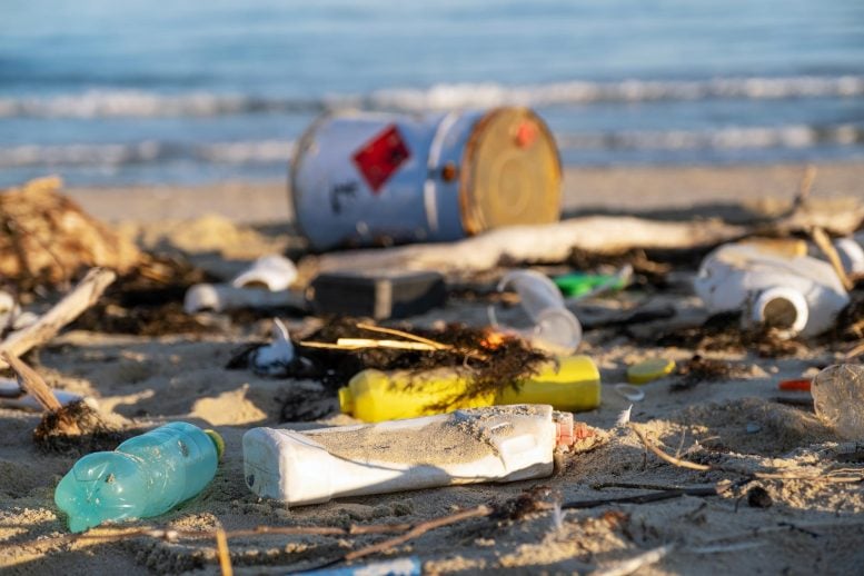 Coastal Pollution Scene Beach Trash