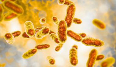 Uranium-Eating Bacteria Leave Just 5% of The Radioactive Metal in Toxic Mine Water, Scientists Discover : ScienceAlert