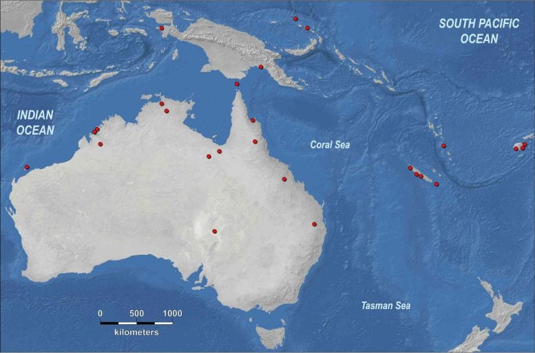 Crocodylian Remains Across Australia