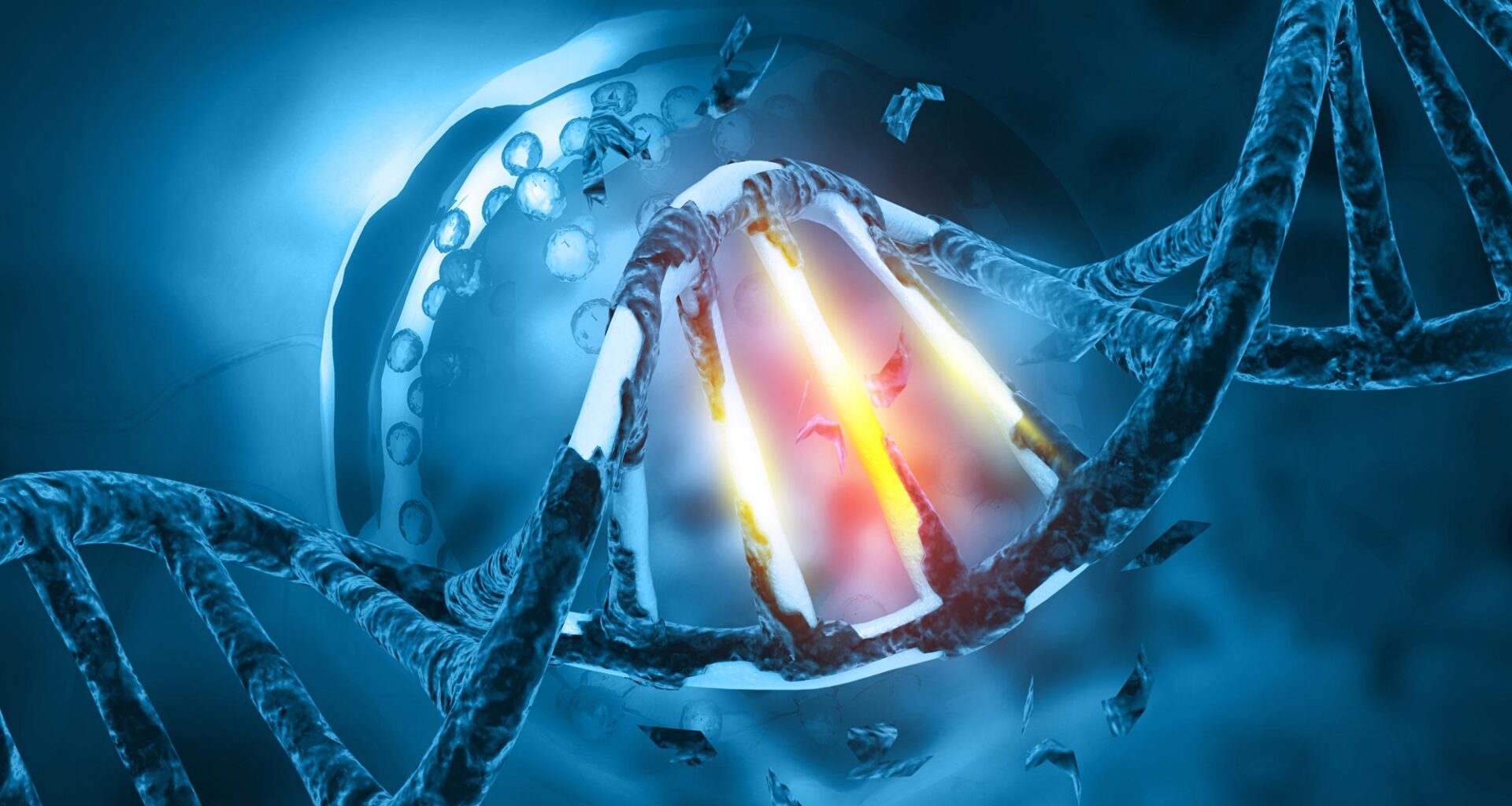DNA Mutation Genetic Damage