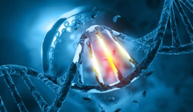 DNA Mutation Genetic Damage