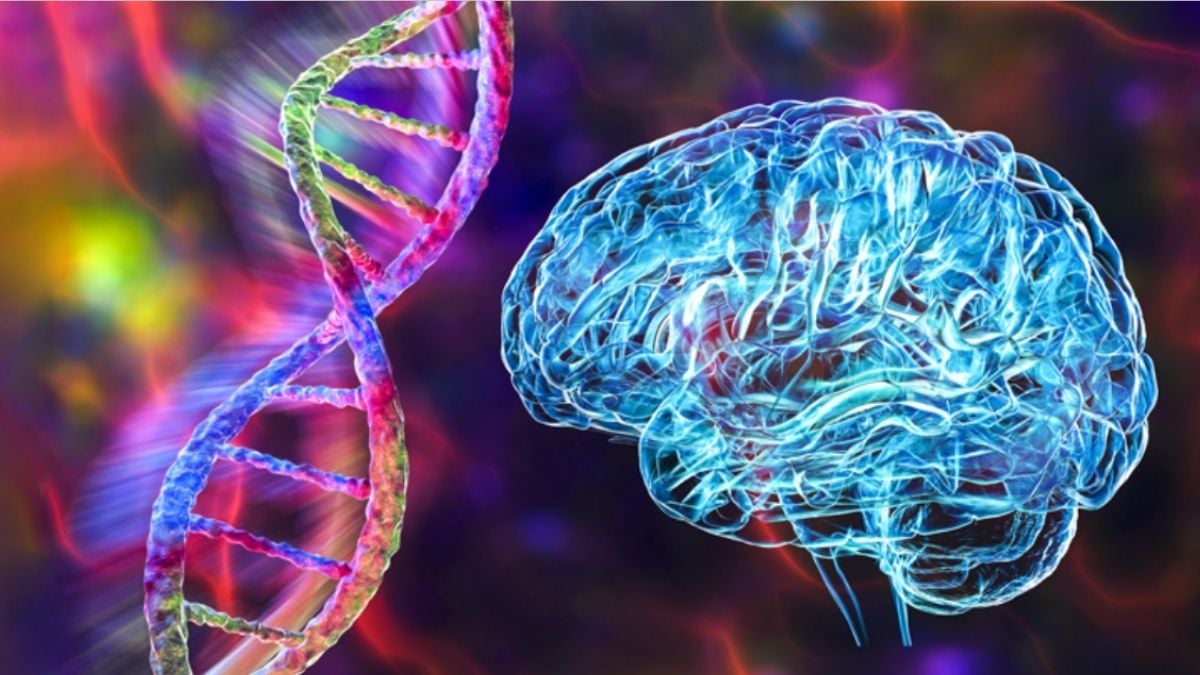 Schizophrenia And Bipolar Disorder Share 70% of Their Genetic Roots, Landmark Study Finds : ScienceAlert