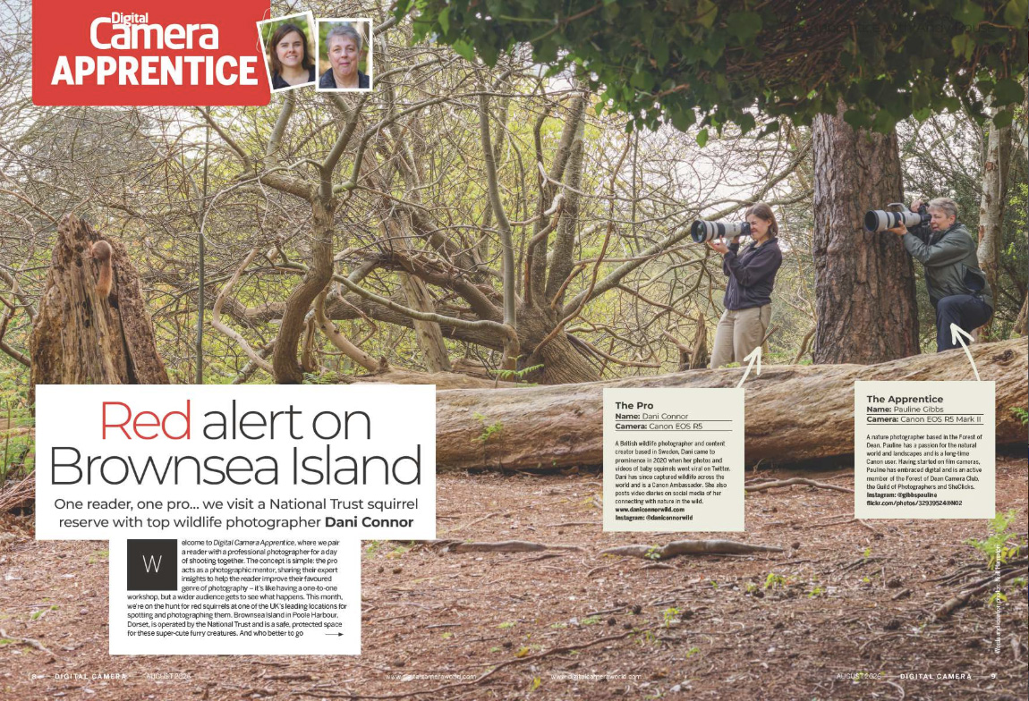 Image showing the first two pages of the Apprentice article in issue 310 (August 2026) of Digital Camera magazine, where a reader goes on a red squirrel safari with wildlife pro Dani Connor